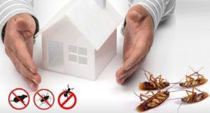 Pest Control Services