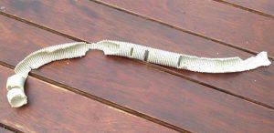 Gnaw Hose